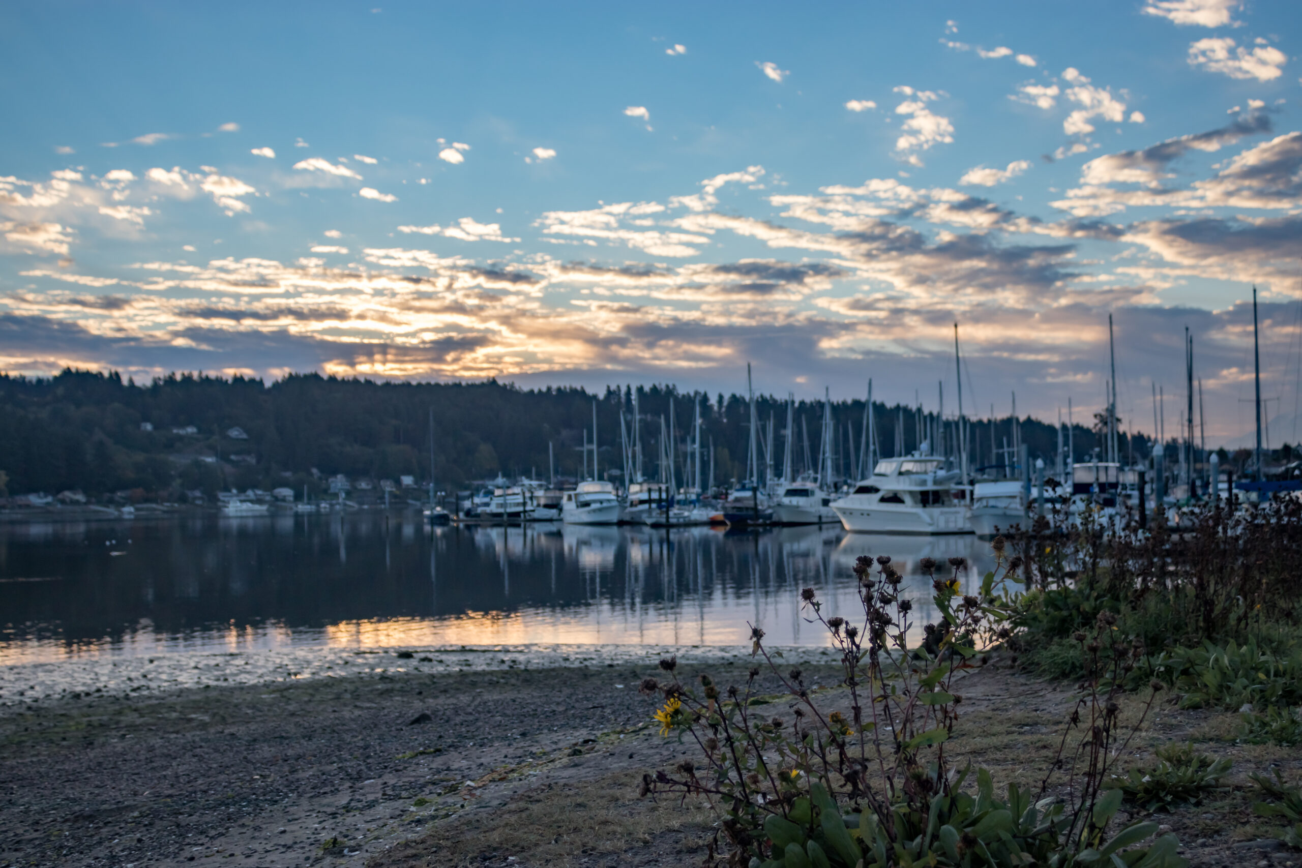 Gig Harbor Marina
