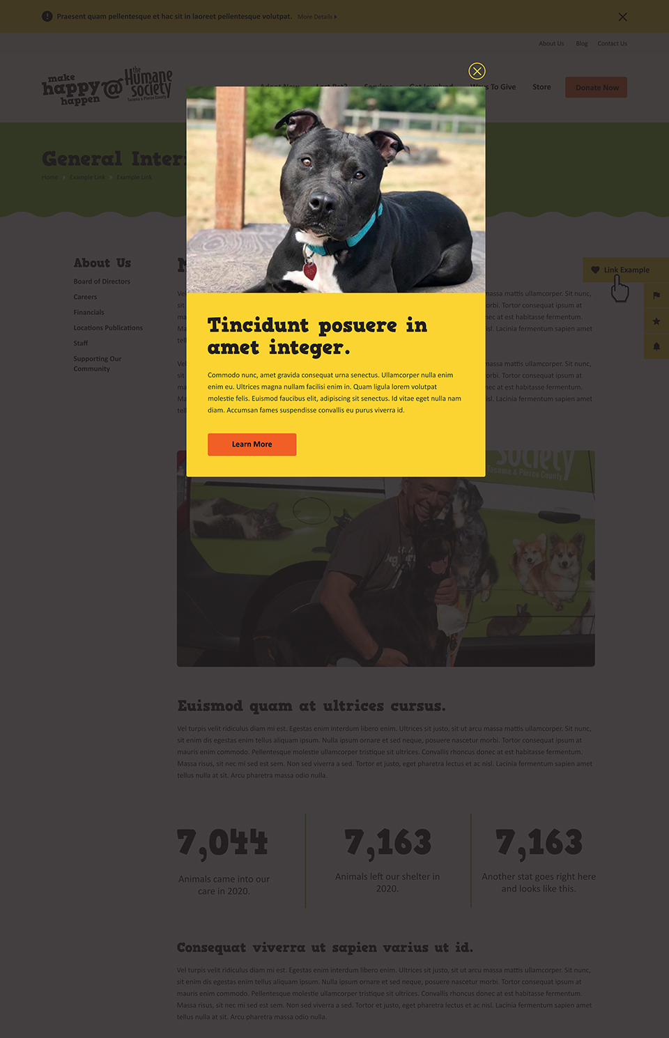 Humane Society website modal pop up ad mockup