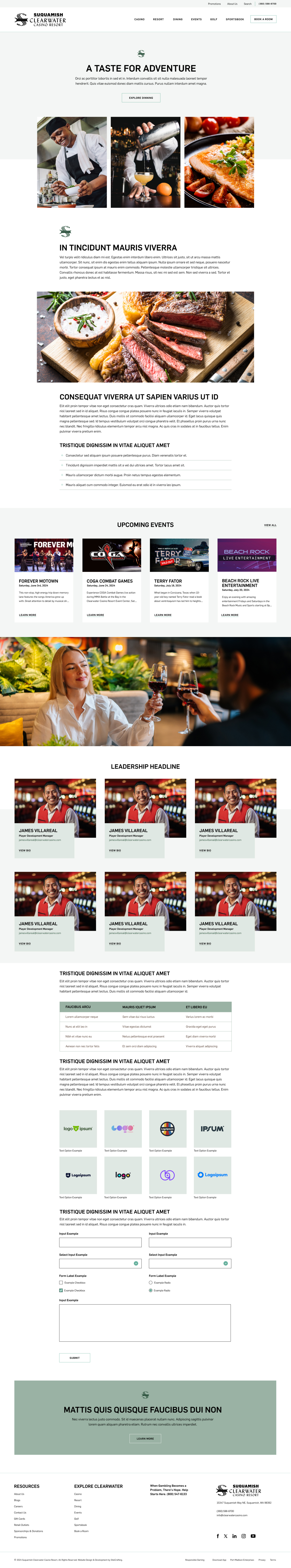 clearwater casino general interior flex patterns web page mockup